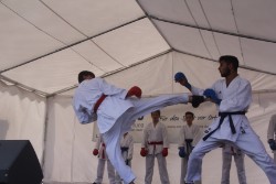 Unsere Karatekas zeigen ihr Können bei der Sportabzeichentour